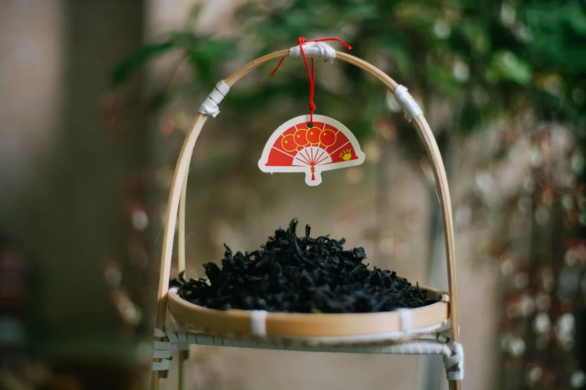 5 Common Mistakes When Brewing Oolong (and How to Fix Them)
